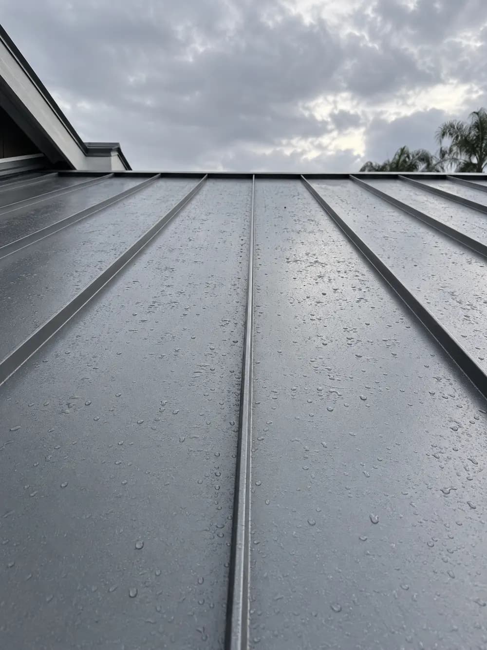 Standing-seam metal, close
